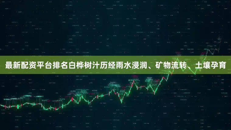 最新配资平台排名白桦树汁历经雨水浸润、矿物流转、土壤孕育