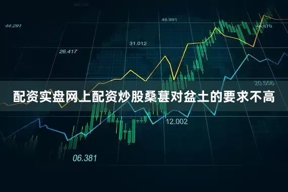 配资实盘网上配资炒股桑葚对盆土的要求不高