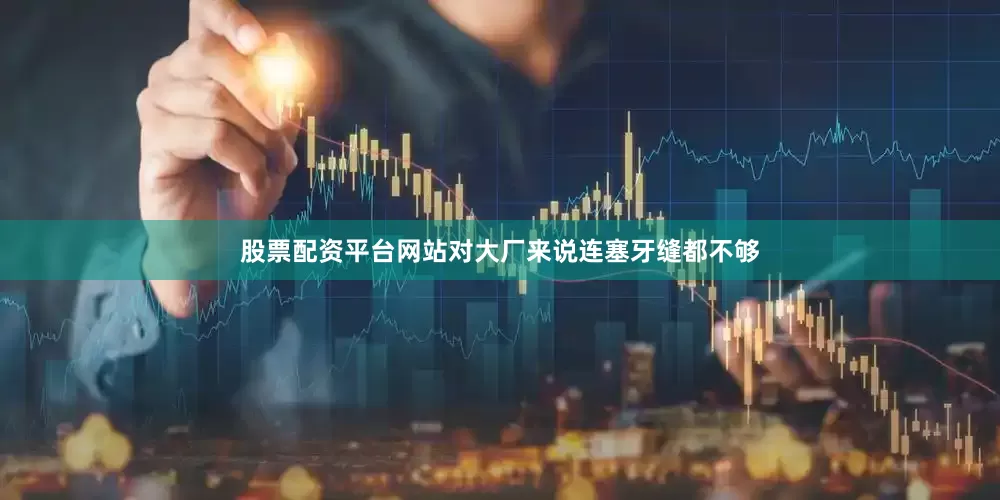 股票配资平台网站对大厂来说连塞牙缝都不够