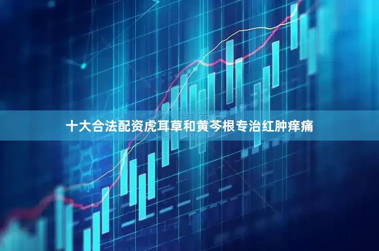 十大合法配资虎耳草和黄芩根专治红肿痒痛
